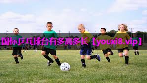 国标乒乓球台有多高多长