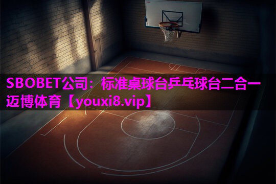 SBOBET公司：标准桌球台乒乓球台二合一迈博体育