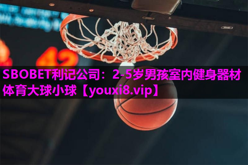 SBOBET利记公司：2-5岁男孩室内健身器材体育大球小球