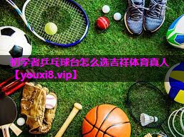 初学者乒乓球台怎么选吉祥体育真人