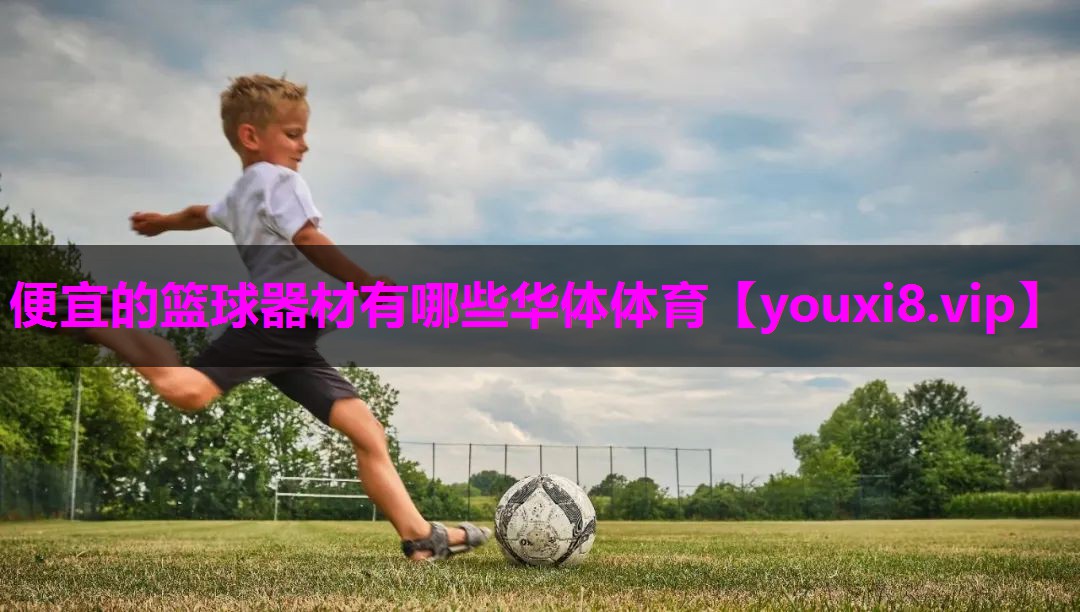 便宜的篮球器材有哪些华体体育