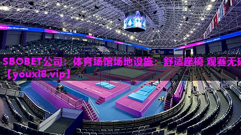 体育场馆场地设施:舒适座椅 观赛无碍 体育场馆场地设施:舒适座椅 观赛无碍