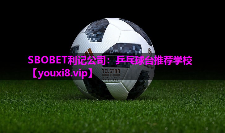 乒乓球台推荐学校 乒乓球台推荐学校