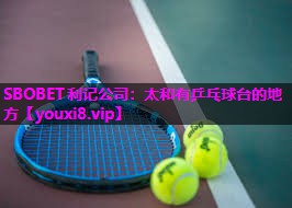 太和有乒乓球台的地方 太和有乒乓球台的地方